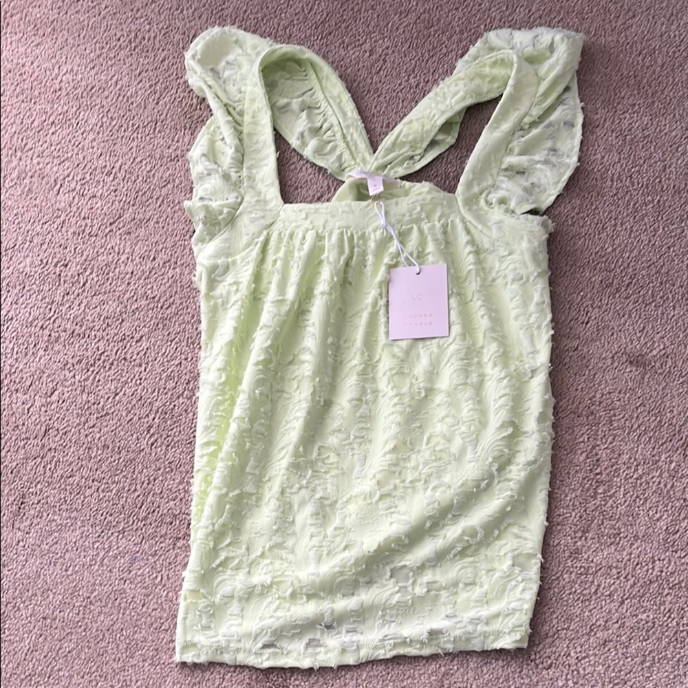 Elegant Lace Women Top in Light Green